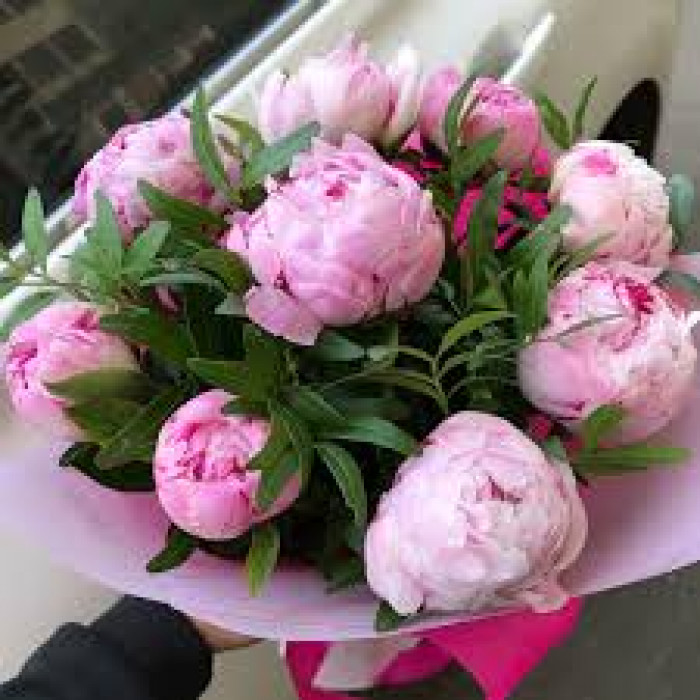 Пион древовидный в Уральске