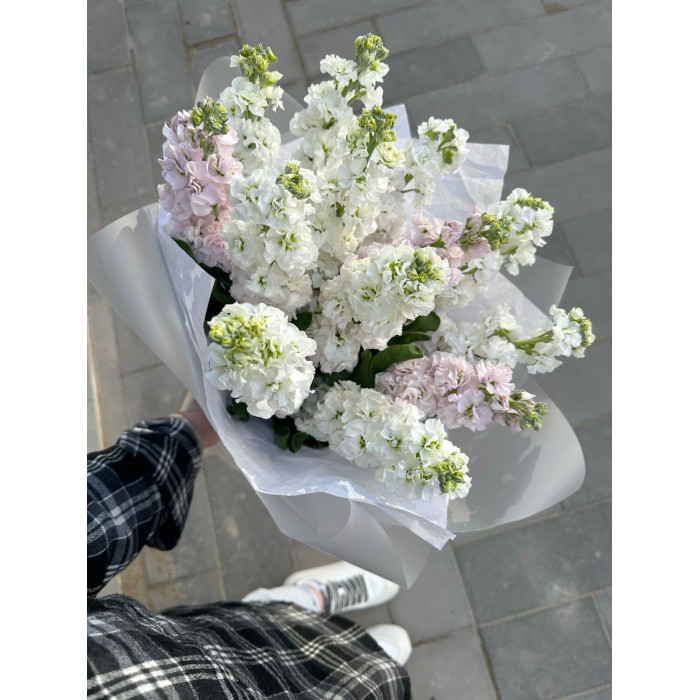 Маттиола в Уральске