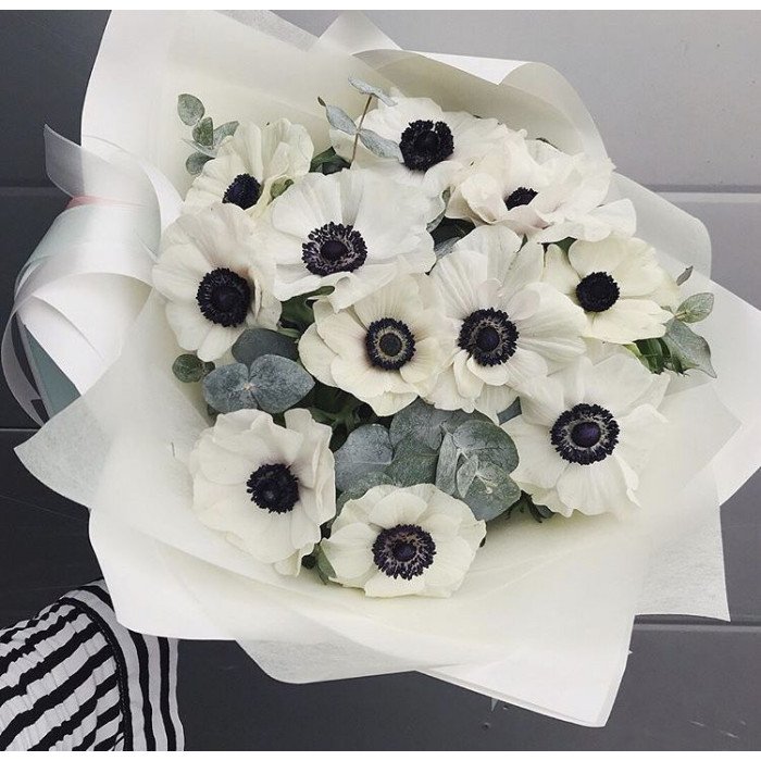 Анемоны в Уральске