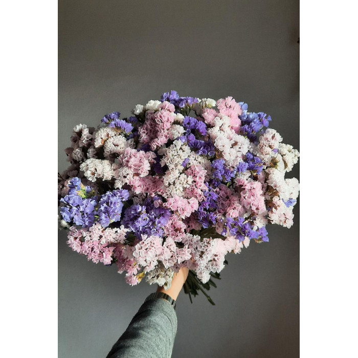 Статица (Лимониум) в Уральске