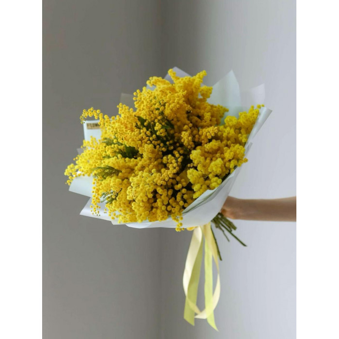 Мимоза в Уральске