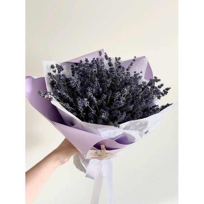 Лаванда в Уральске