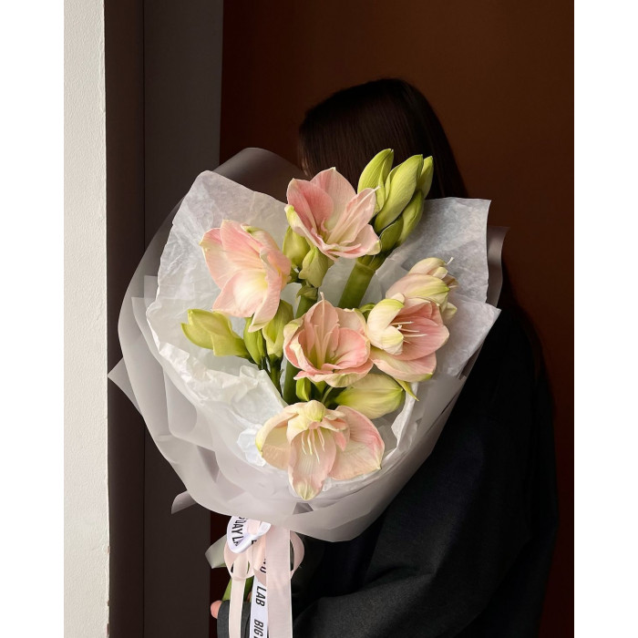 Амариллис в Уральске