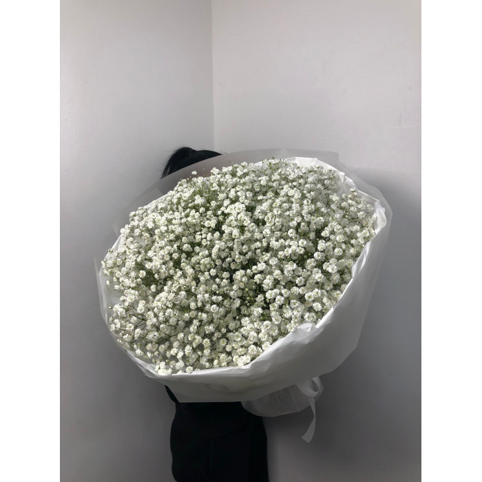 Гипсофила классическая в Уральске