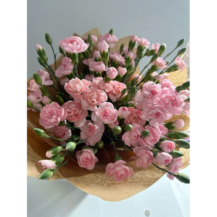 Кустовые гвоздики в Уральске