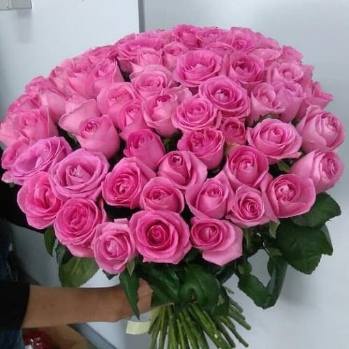 Купить на заказ Букет из 75 розовых роз с доставкой в Уральске